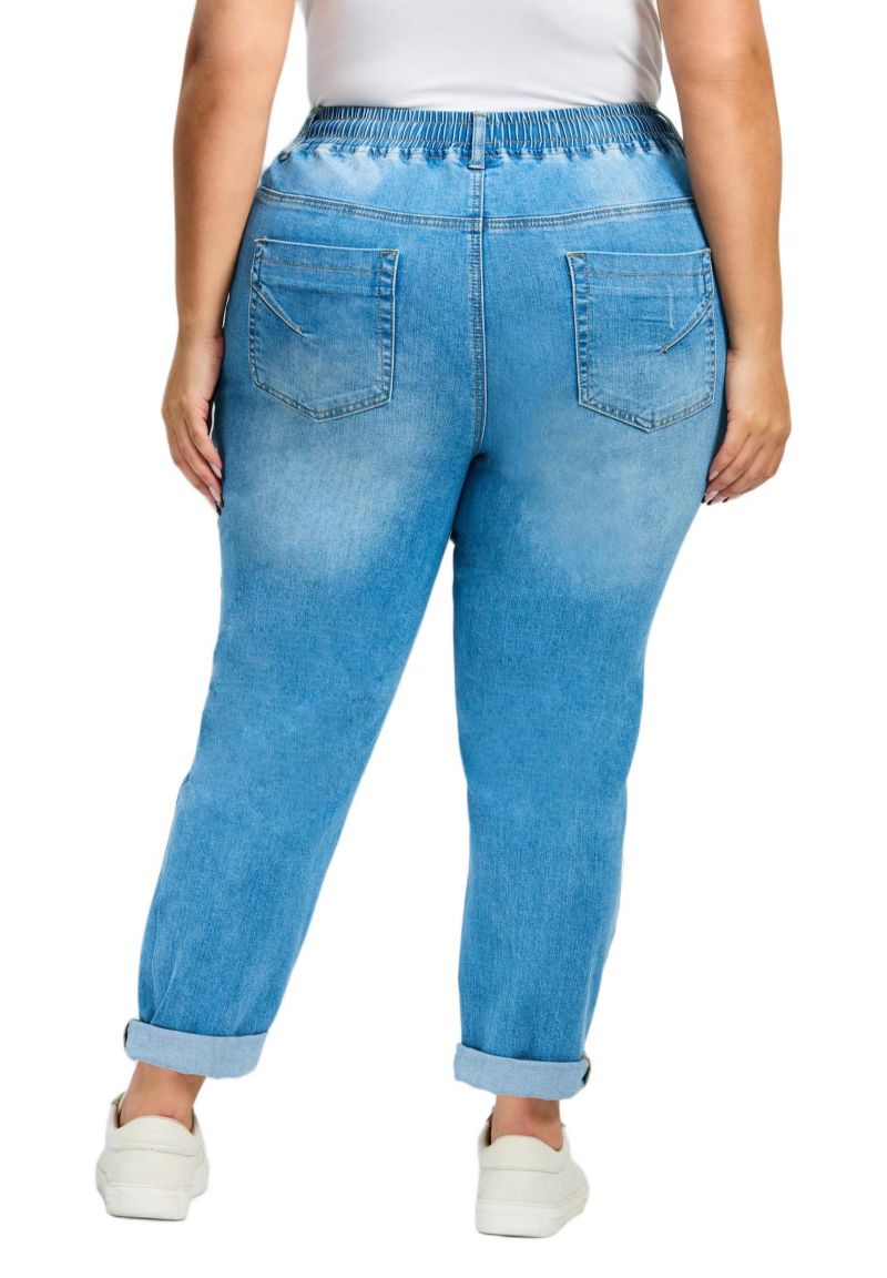 Women's Plus Size Taliah Denim Jogger