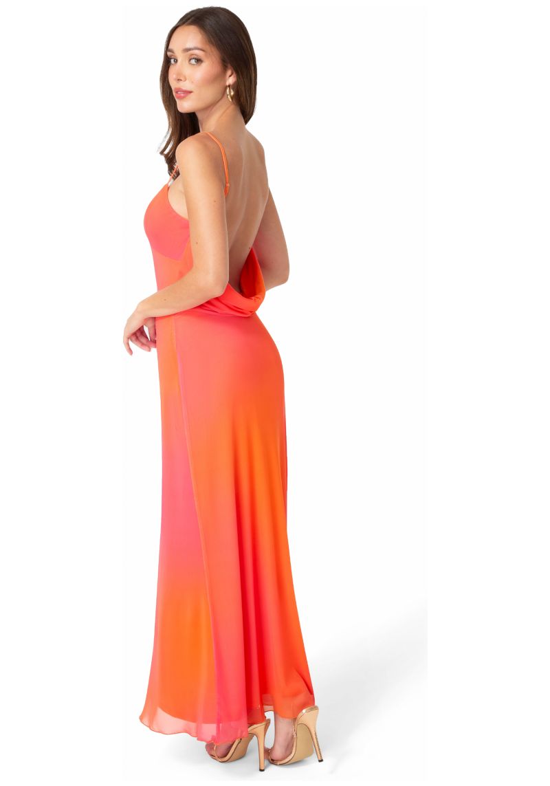 Women's Printed Mesh Drape Back Maxi Dress