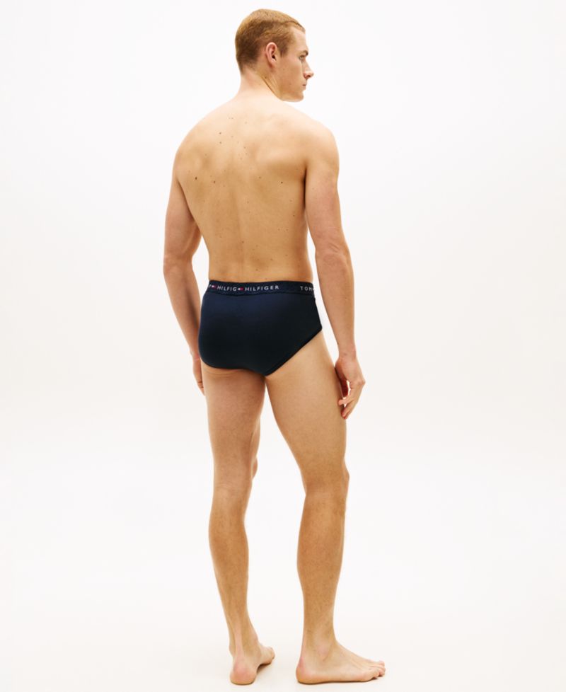 Men's Cotton Classics Briefs Underwear, 4-Pack