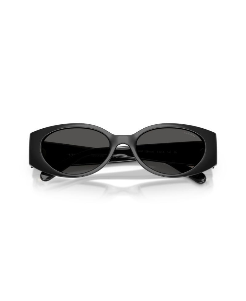 Women's Sunglasses HC8462U