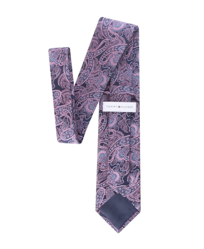 Men's Alpine Paisley Classic Tie