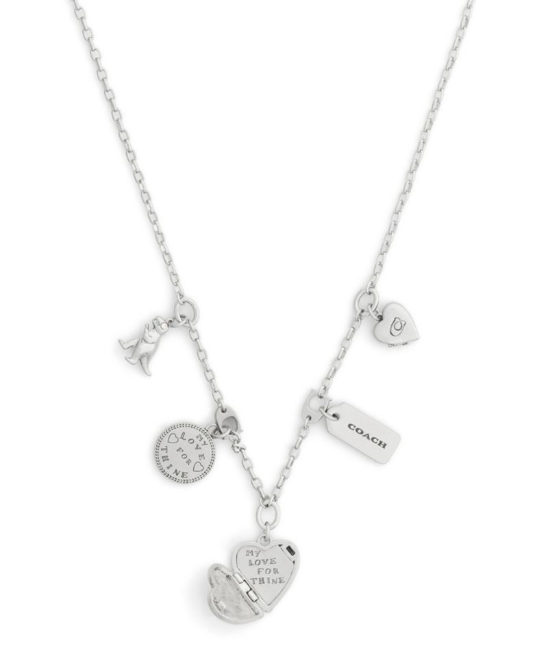 Silver Heritage Charm Bib Necklace