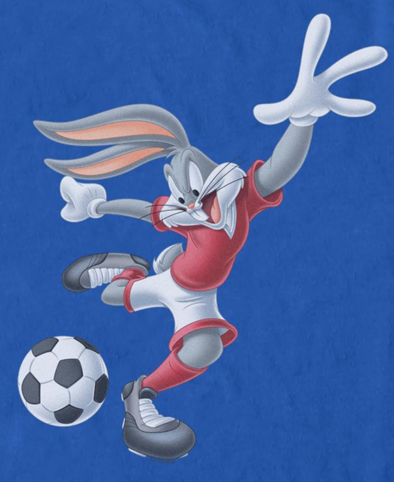 Men's Futbol Bunnies Graphic T-Shirt
