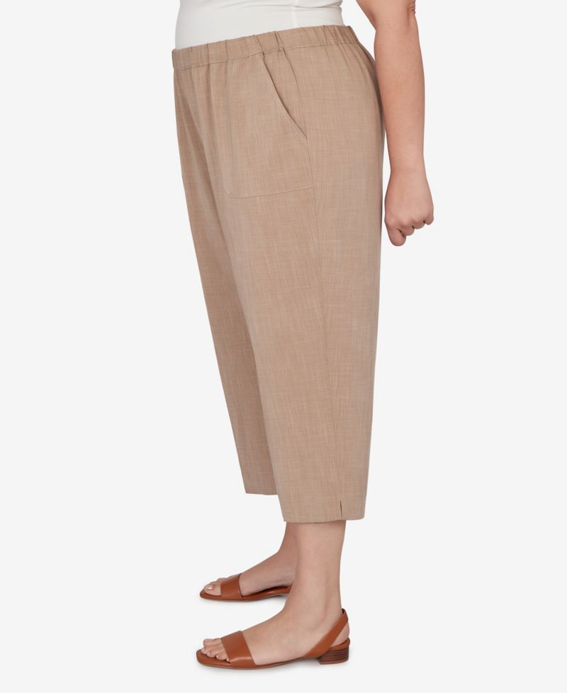 Plus Size Grand Bazaar Textured Pull-On Capri Pants