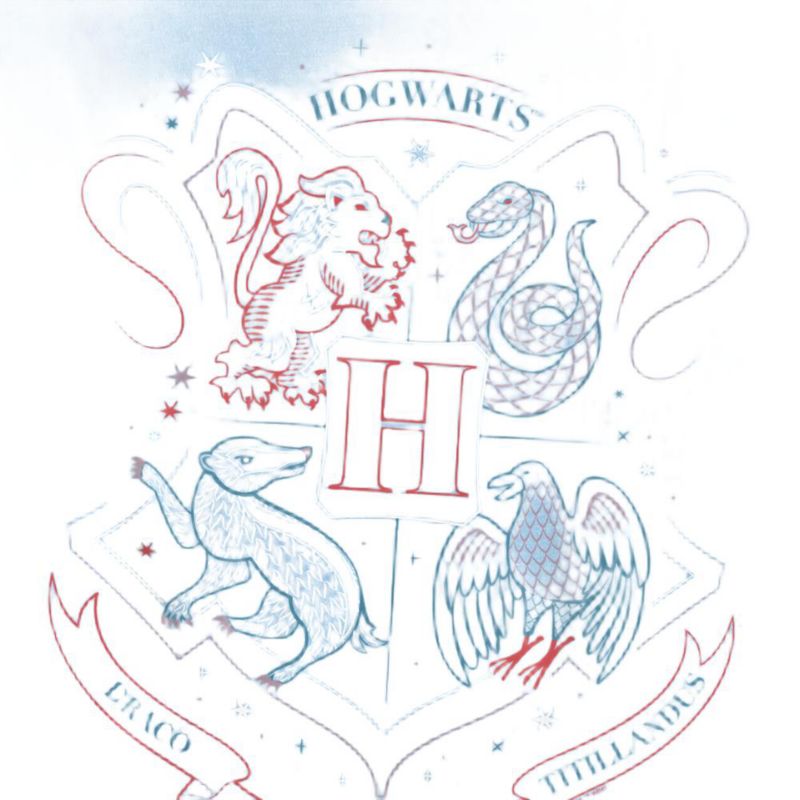 Men's Hand Drawn Hogwarts Shield T Shirt