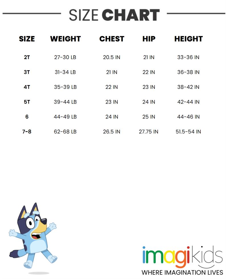 Little Boys Fleece Pullover Hoodie and Pants Outfit Set