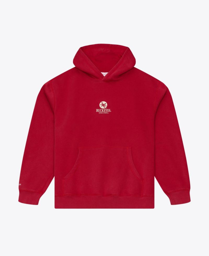 Men's Scarlet Ohio State Buckeyes Core Icon Fleece Hoodie