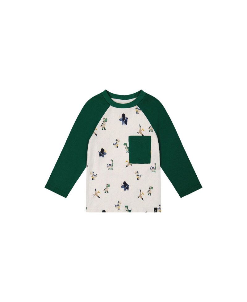 Little Boys (6Y-8Y) Long Sleeve Raglan T-Shirt
