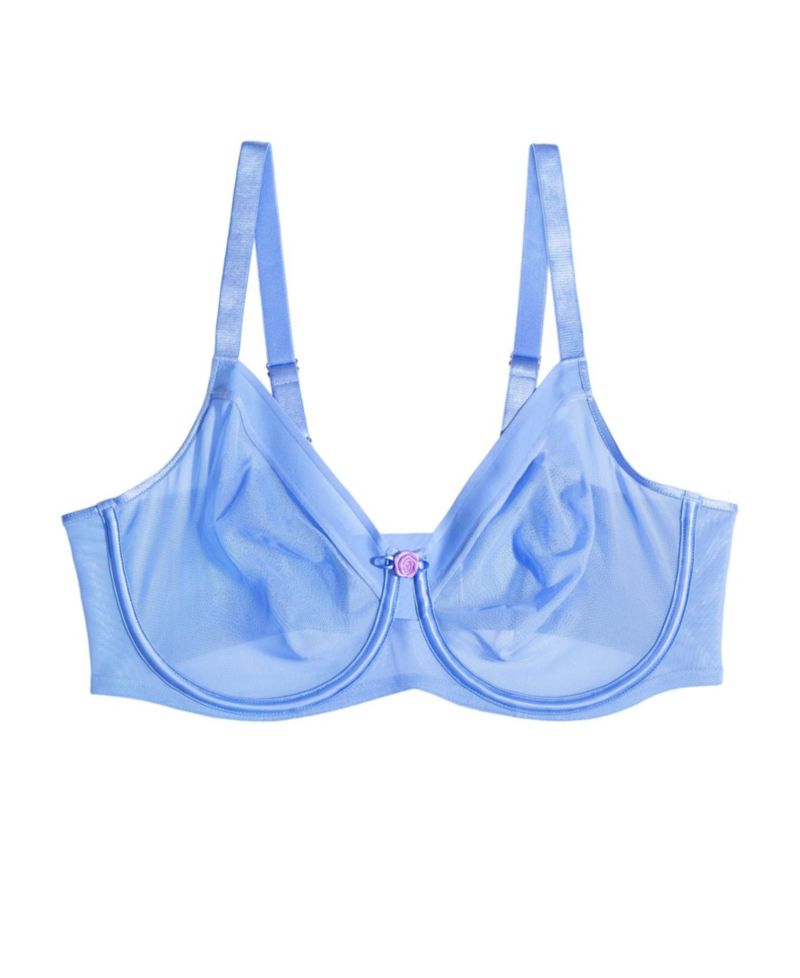 Women's Sheer Mesh Full Coverage Unlined Underwire Bra