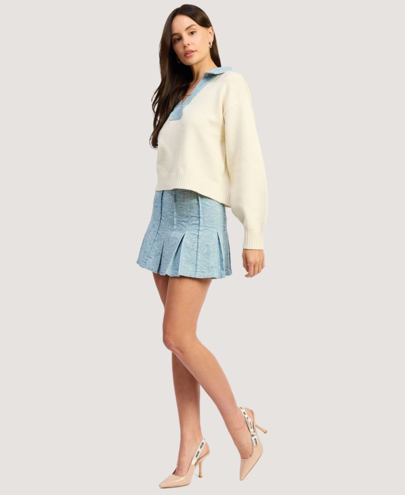 Women's Dominique Embroidered Denim Mini Skirt