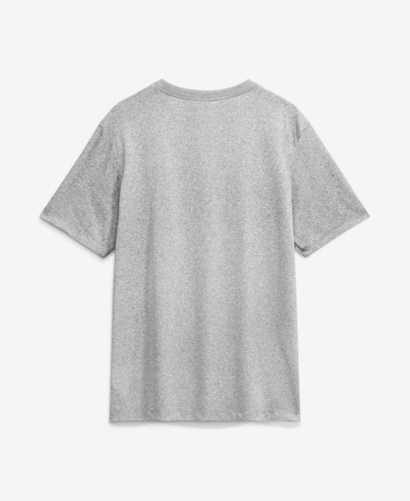 Men's Heather Gray Philadelphia Phillies Swoosh Legend Dri-FIT T-Shirt