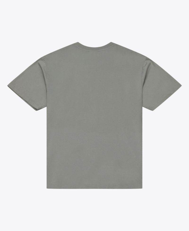 Men's Gray Alabama Crimson Tide Core Icon T-Shirt