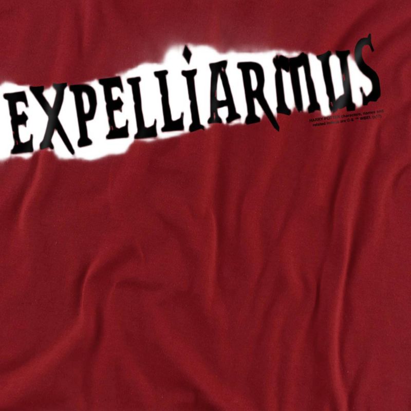 Men's Expelliarmus T Shirt