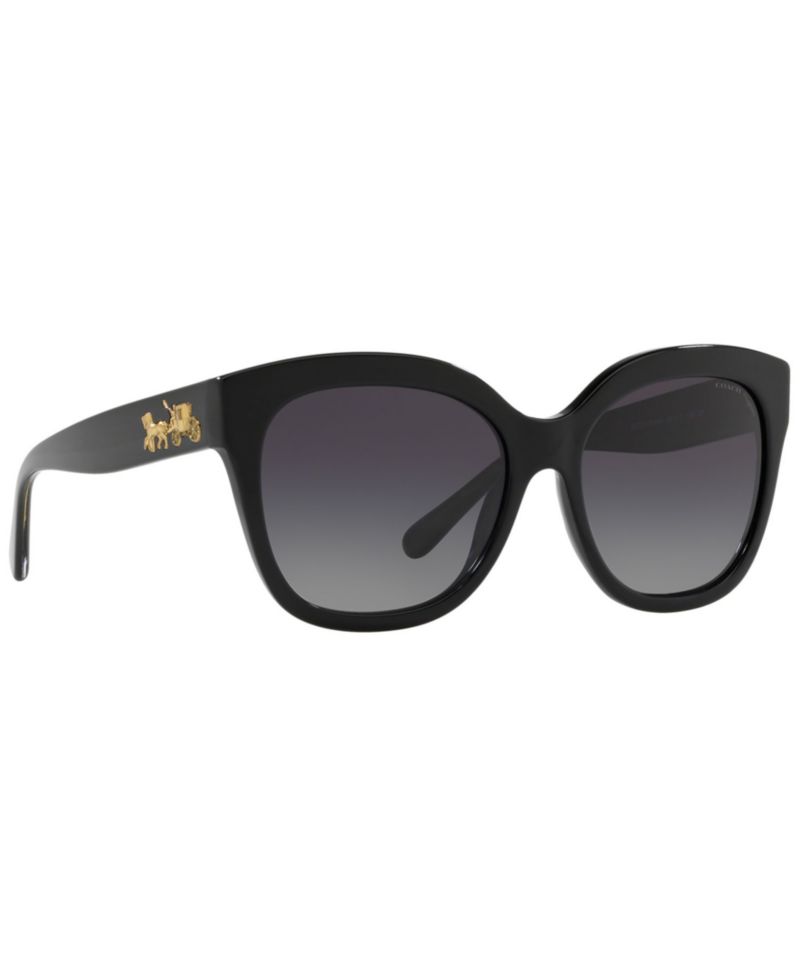 Polarized Sunglasses, HC8264 L1083