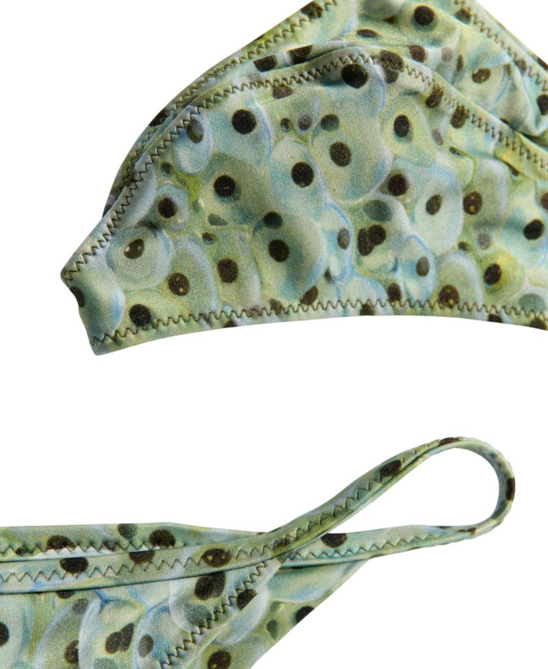 Women's Printed Triangle Bikini Top