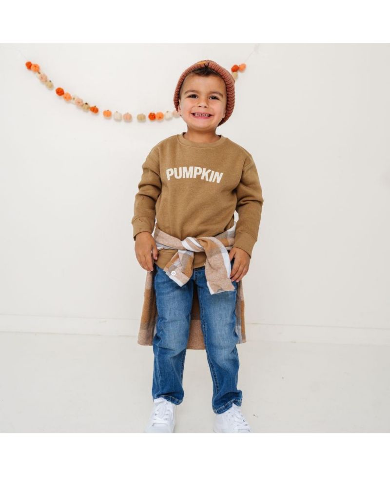 Little and Big Boys Pumpkin Sweatshirt