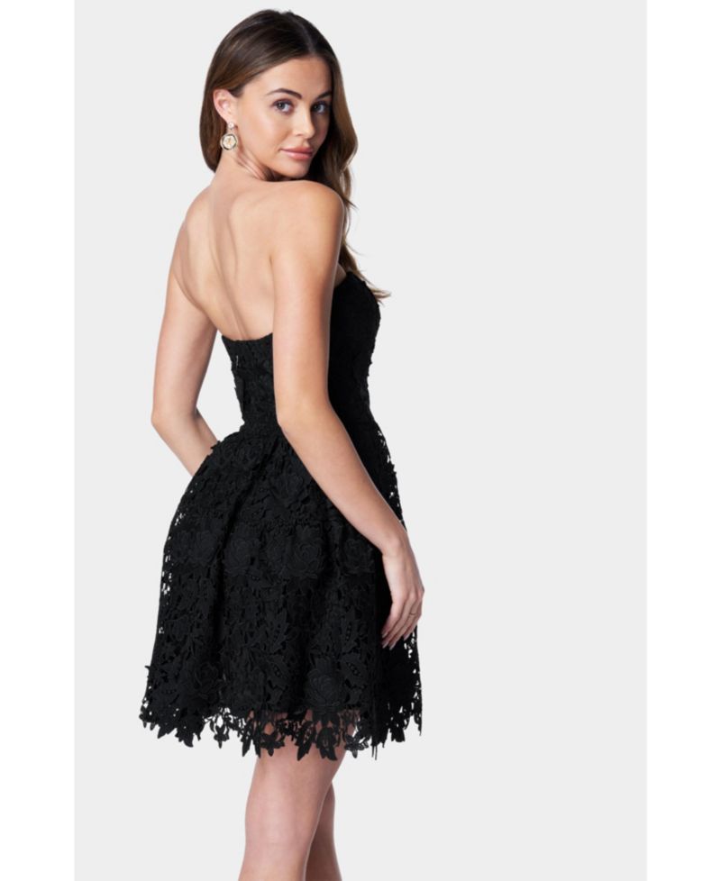 Women's Straples Lace Cupcake Dress
