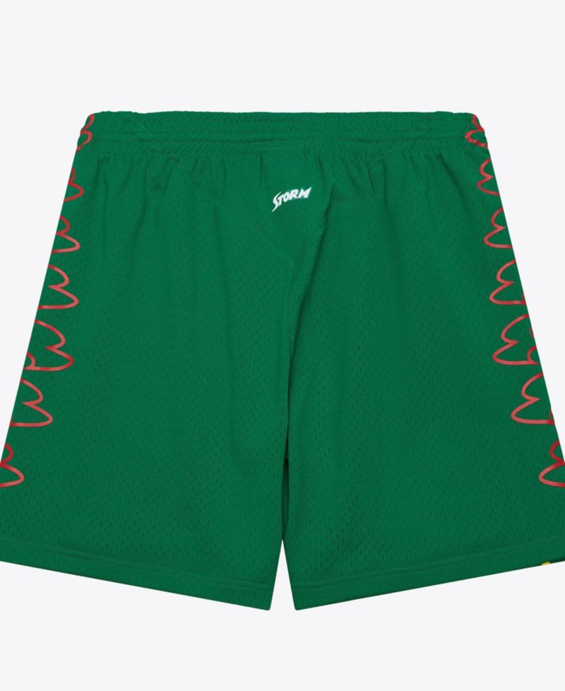 Men's Seattle Storm 2007 Swingman Shorts - Court Origins