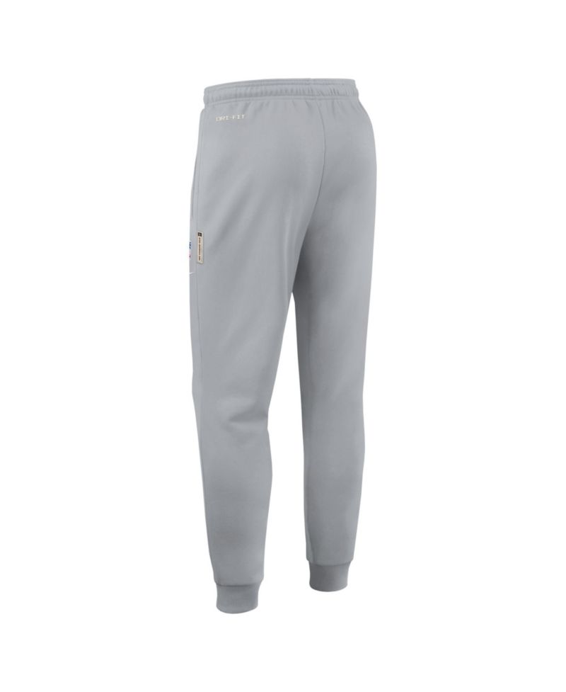 Men's Gray Dallas Cowboys Sideline Standard Issue Dri-FIT Taper Pants