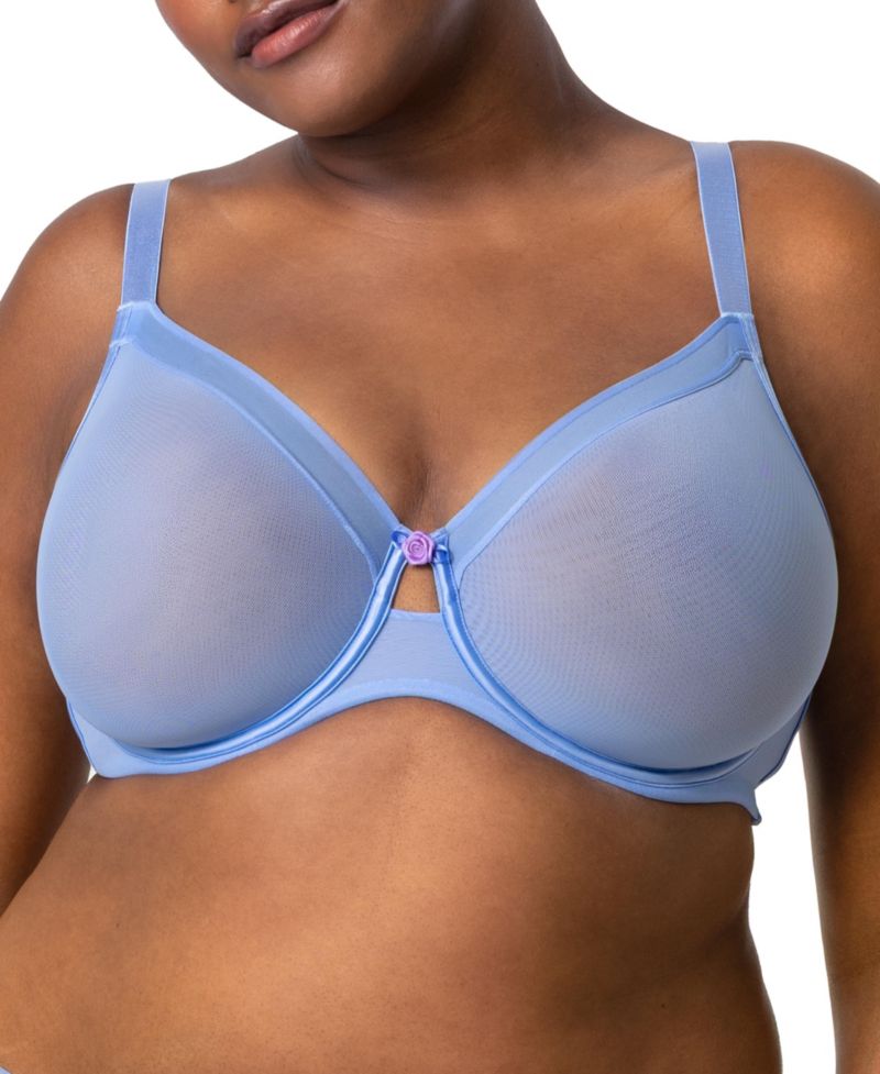 Women's Sheer Mesh Full Coverage Unlined Underwire Bra