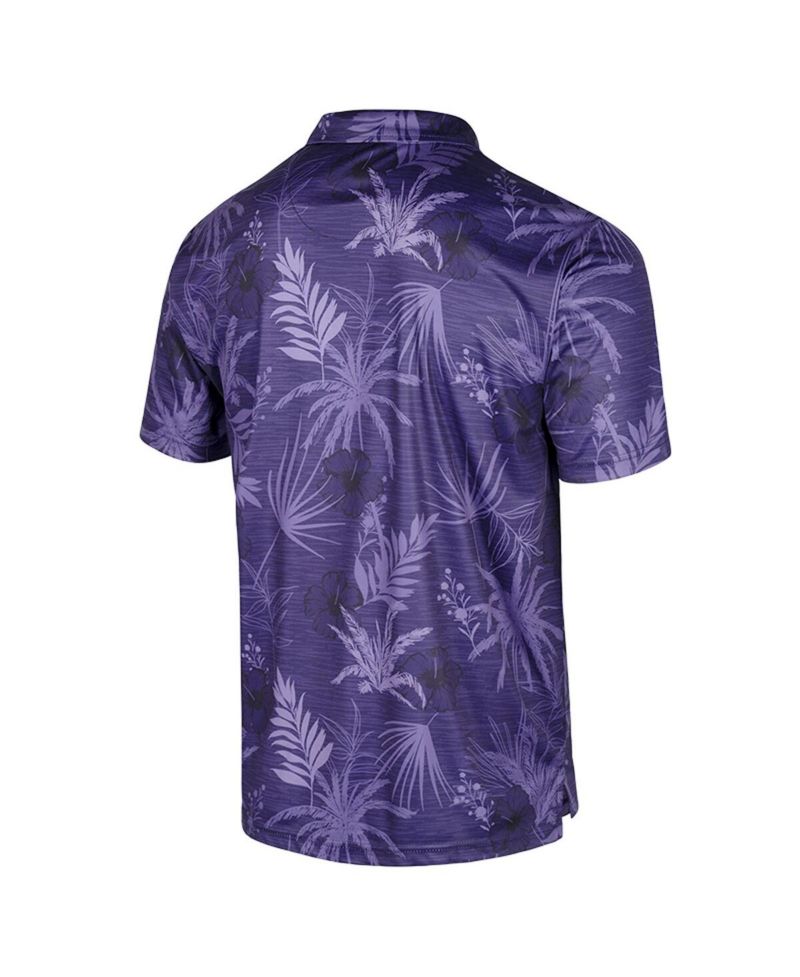 Men's Purple TCU Horned Frogs Palms Team Polo Shirt