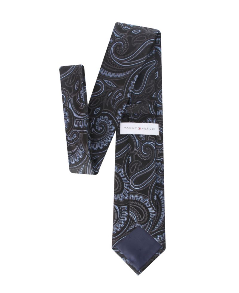 Men's Alvin Paisley Classic Tie