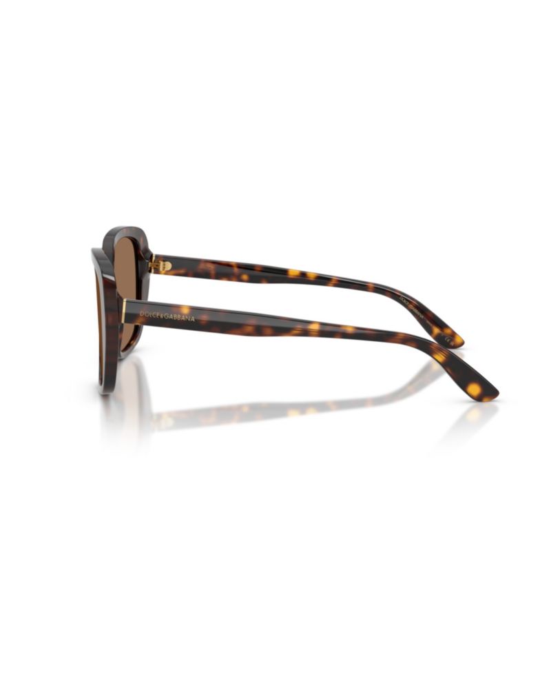 Dolce & Gabbana Women's Cat-Eye Sunglasses DG4569