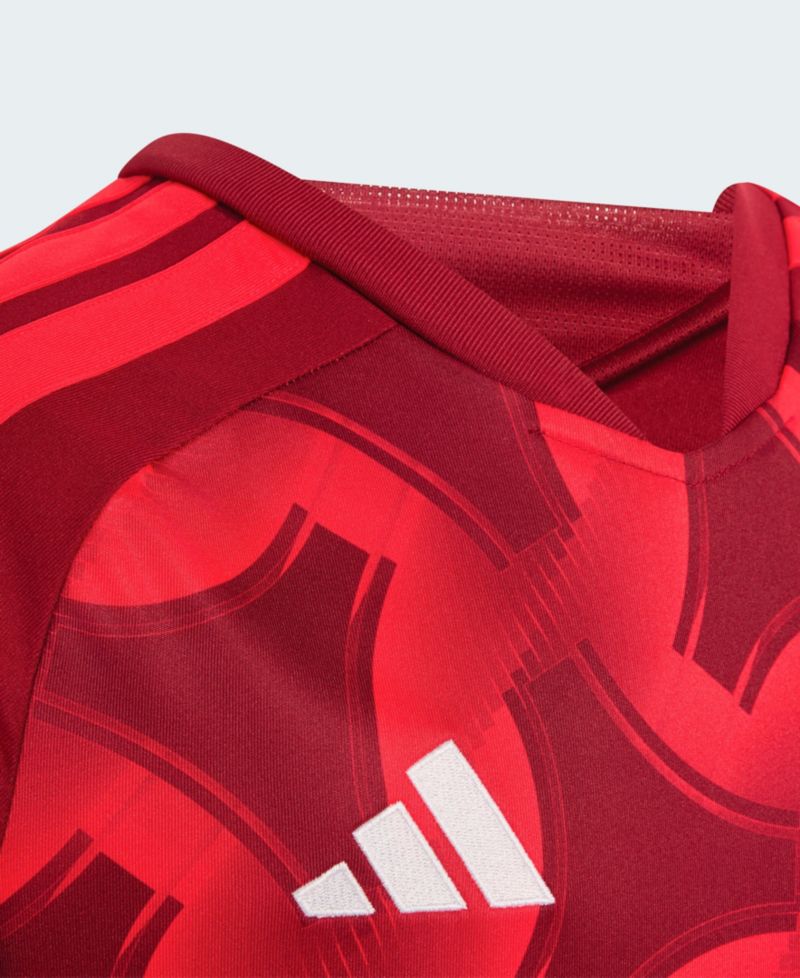 Big Boys and Girls Red Orlando City SC 2026 Archive Replica Jersey