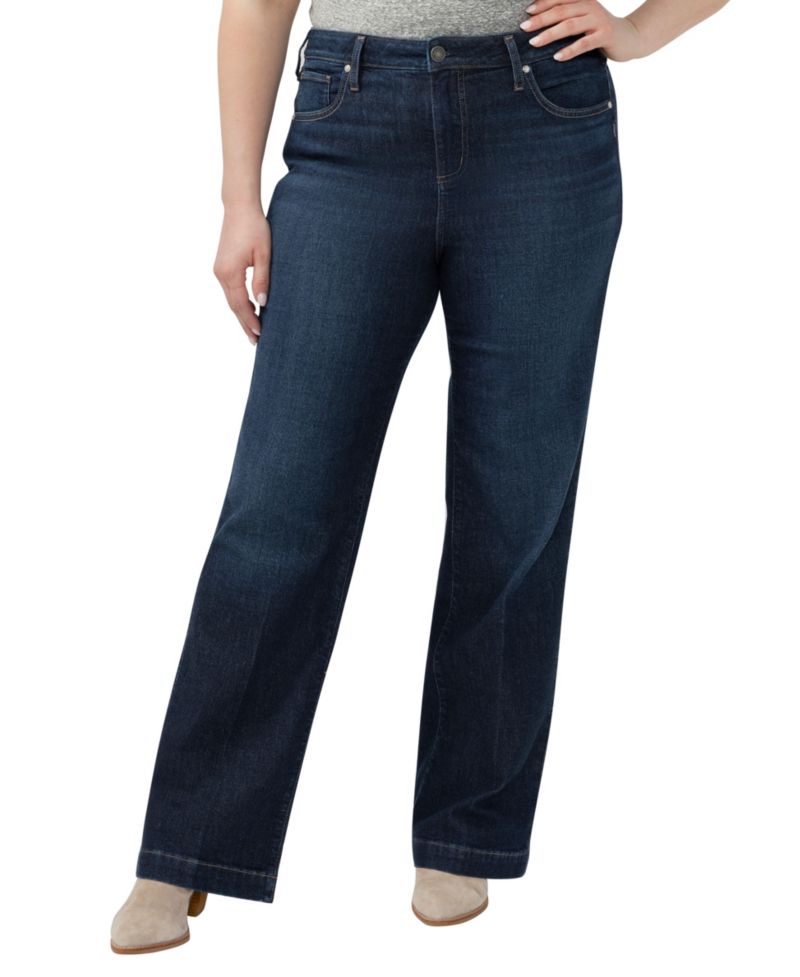 Plus Size Avery High-Rise Jeans