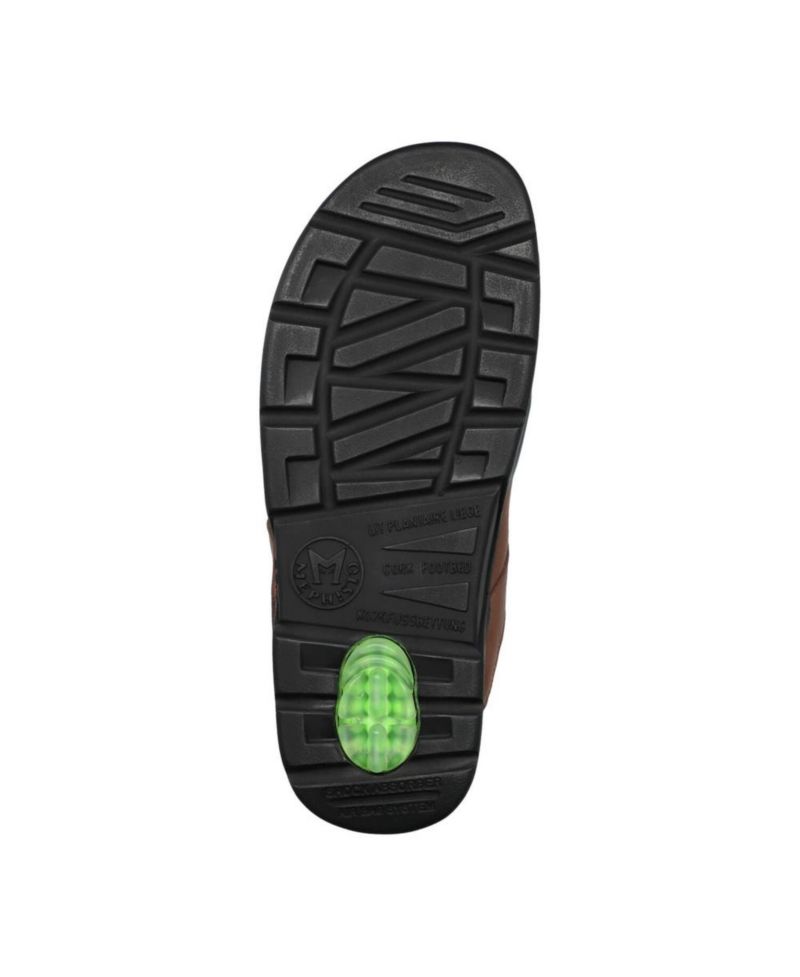 Men's Shark Fit Chestnut Nevada Sandal
