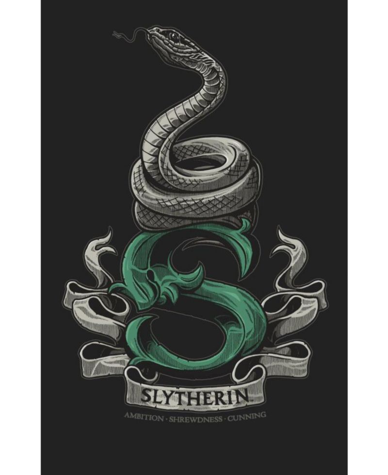 Big & Tall Slytherin Snake Black T-shirt-6XL