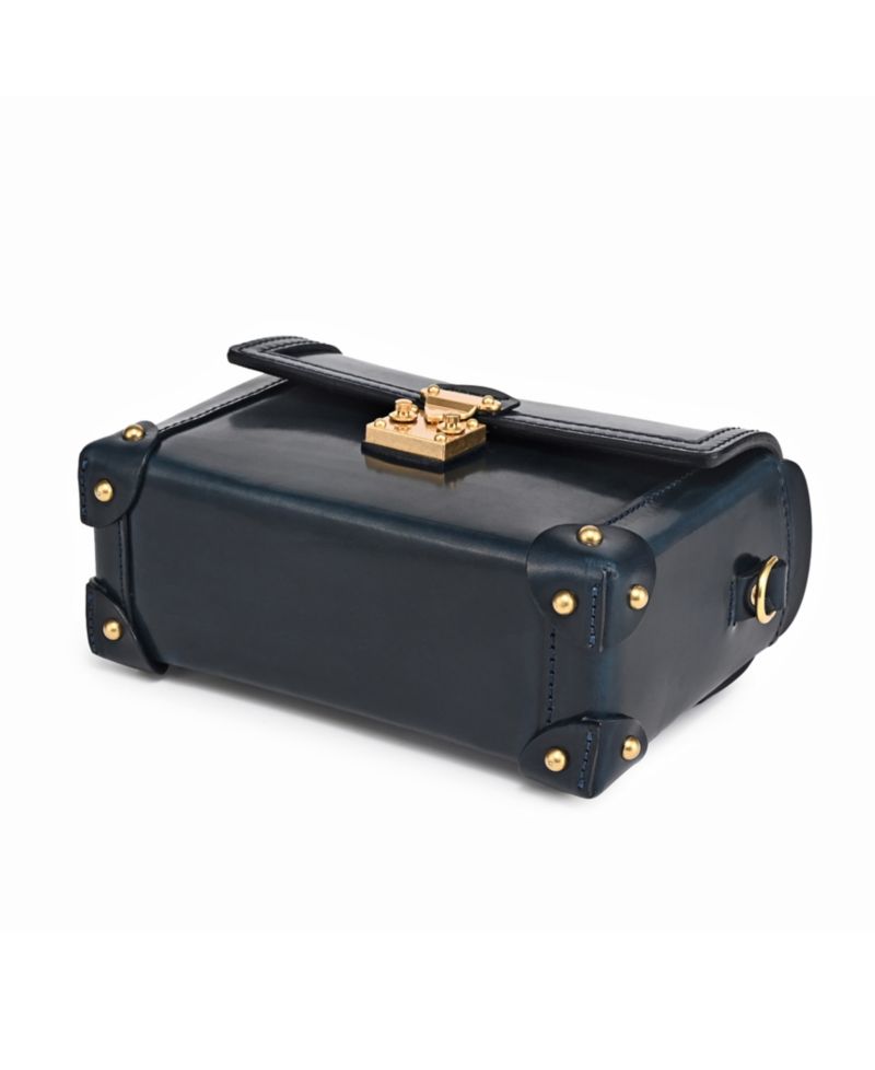 Azalea Vintage Case Crossbody Bag