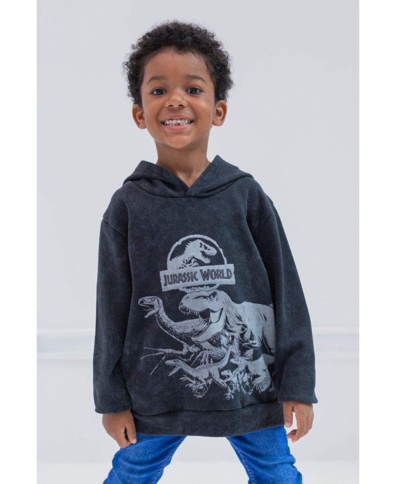 Boy's Dinosaur T-Rex Fleece Pullover Hoodie