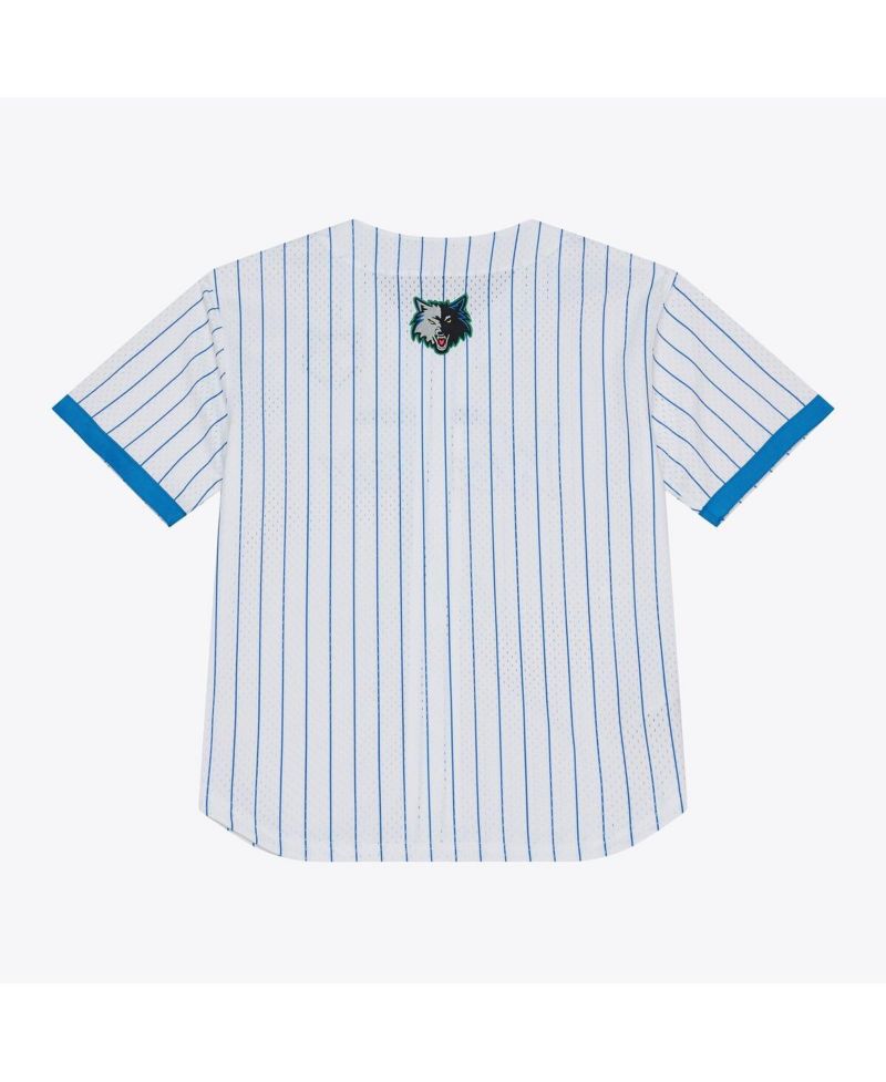 Men's White Minnesota Timberwolves Head Coach Pinstripe Mesh Full-Button Baseball Jersey