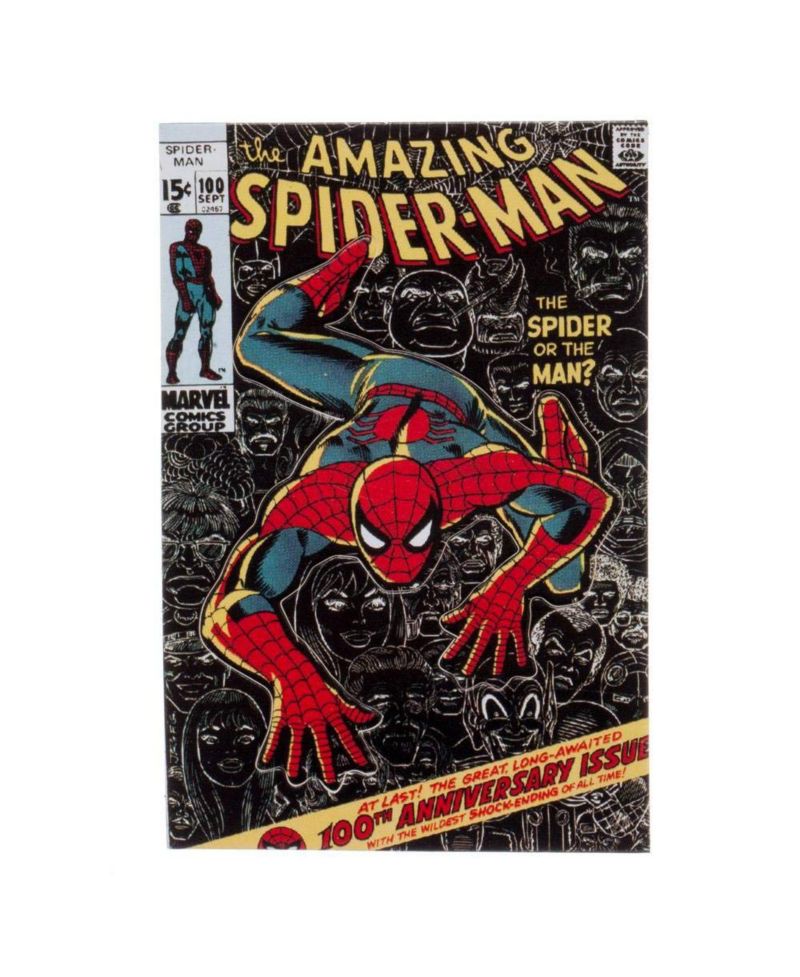 Wall Crawler 22" Lanyard With ID Sleeve