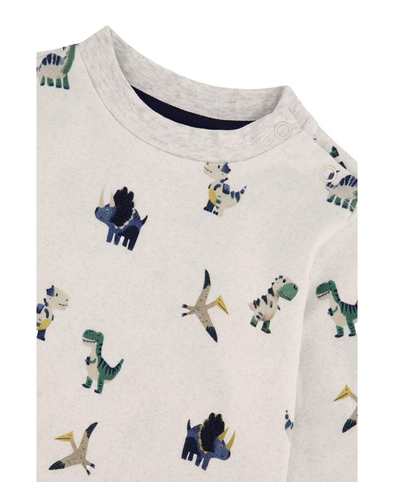 Baby Boy (6M-24M) Cotton T-Shirt and Fleece Pant Set Dinosaur Print
