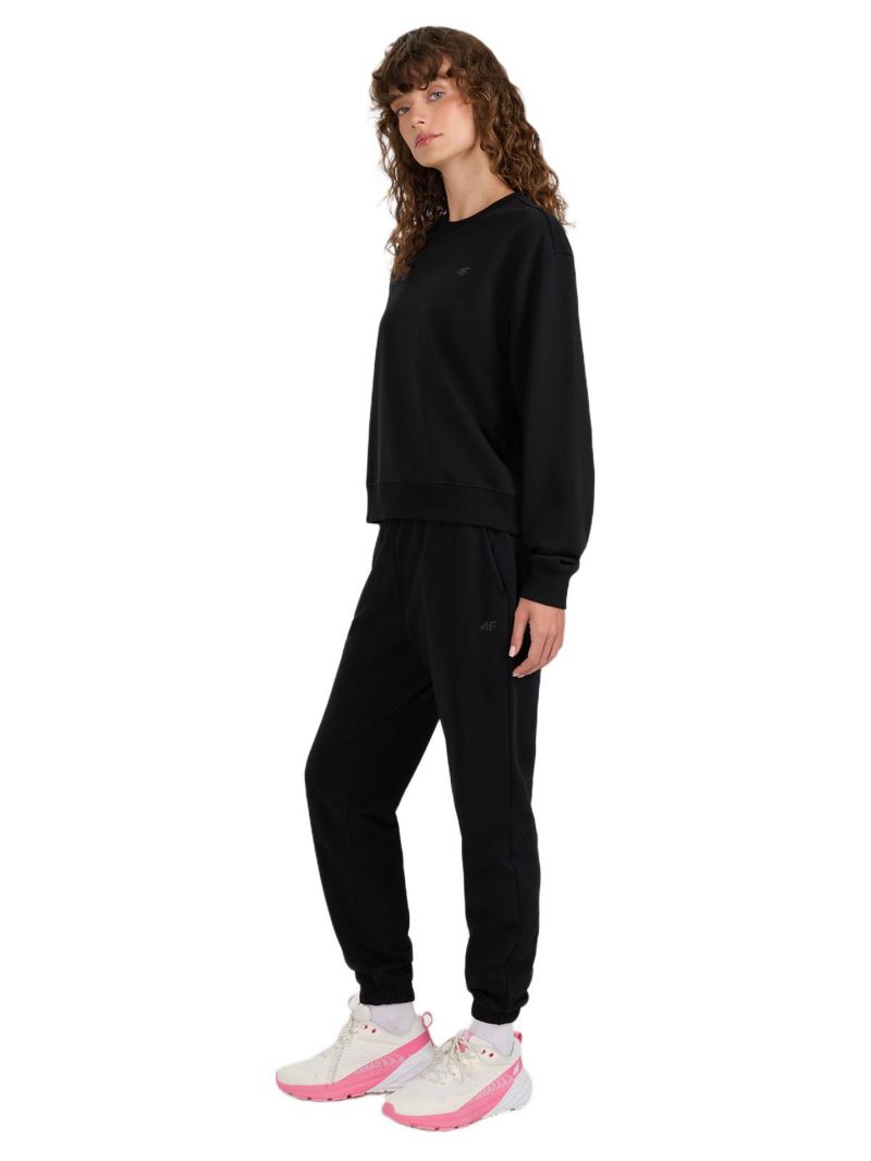 Women's Pullover Basic Sweatshirt Without Hood