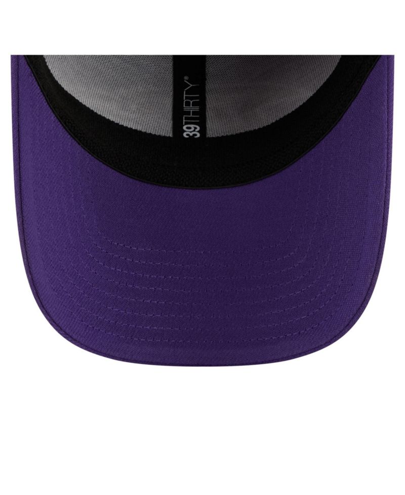 Men's Purple Baltimore Ravens Core Team 39THIRTY Flex Hat