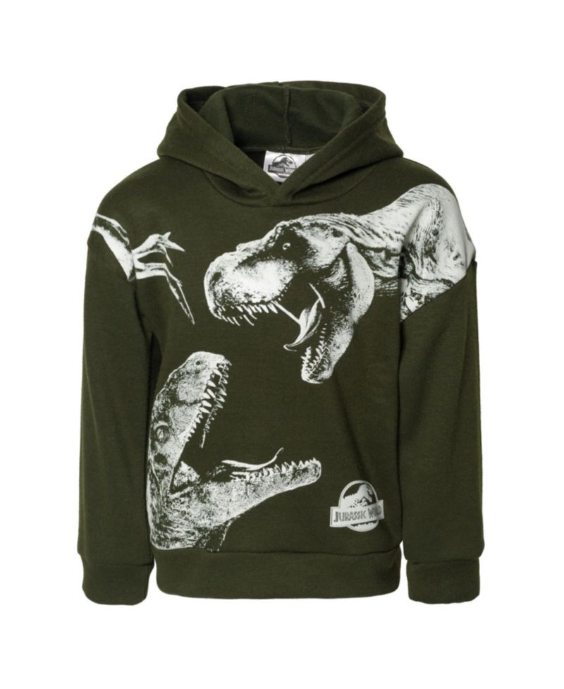 Toddler Boys Dinosaur T-Rex Fleece Pullover Hoodie to