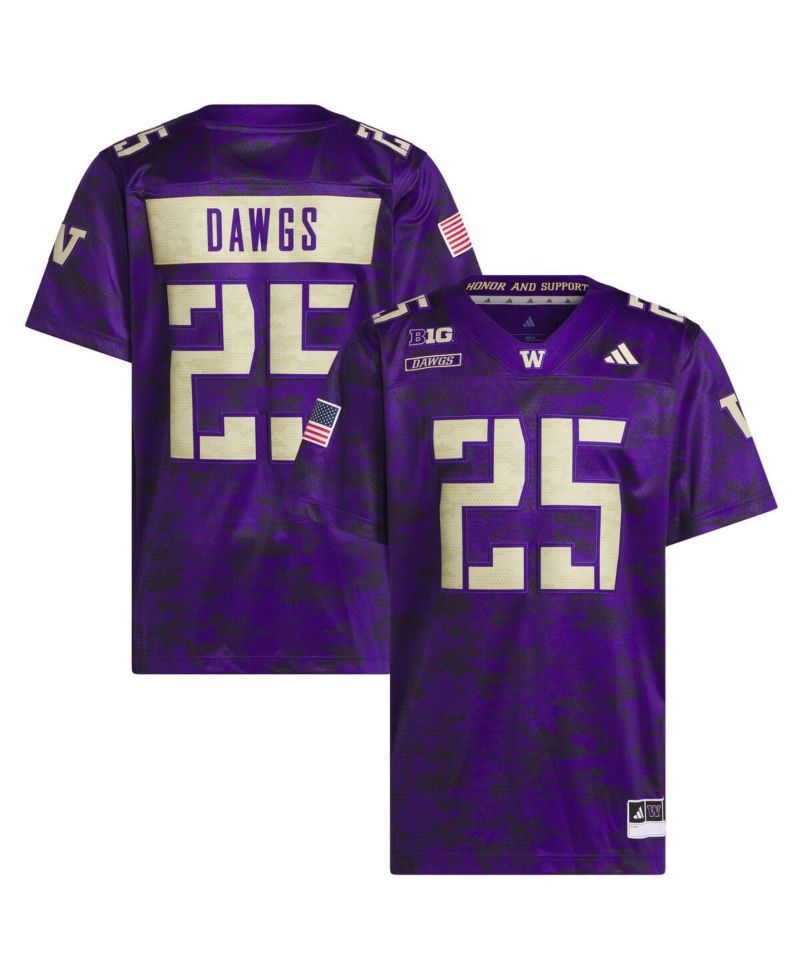 Men's Purple Washington Huskies Honor Support Premier Strategy Jersey