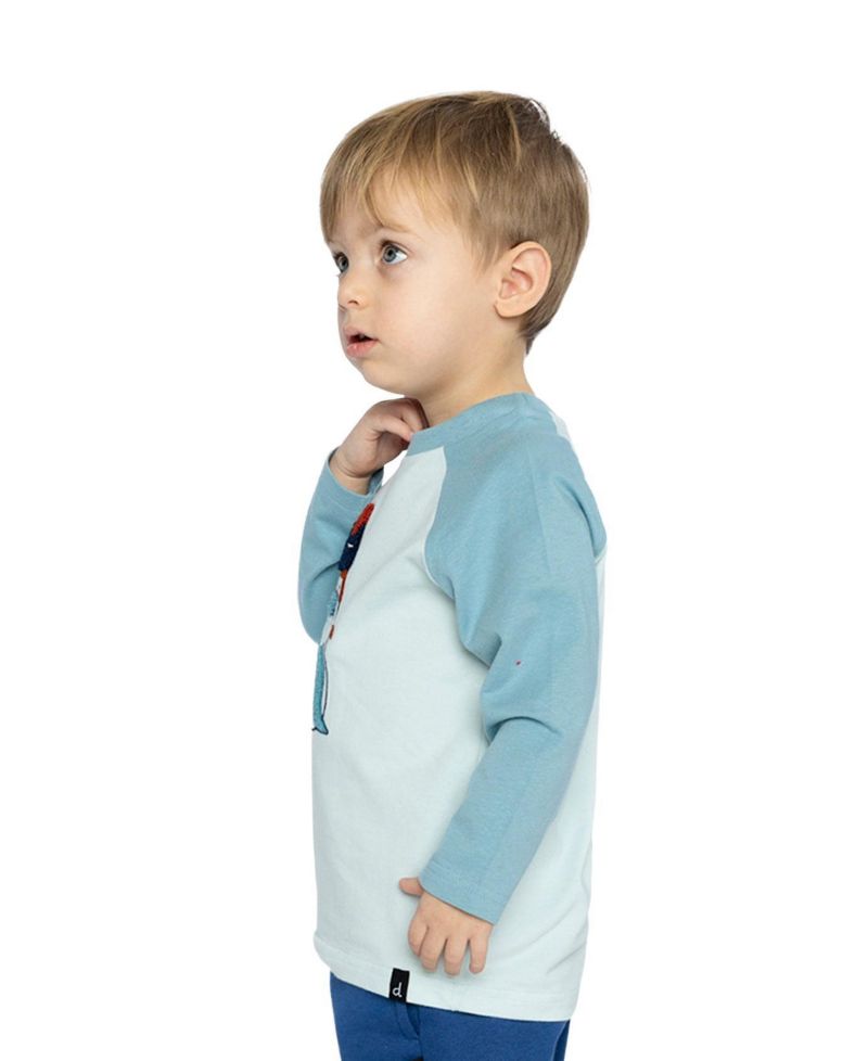 Baby Boys (12m-24m) Long Sleeve Raglan Cotton T-Shirt