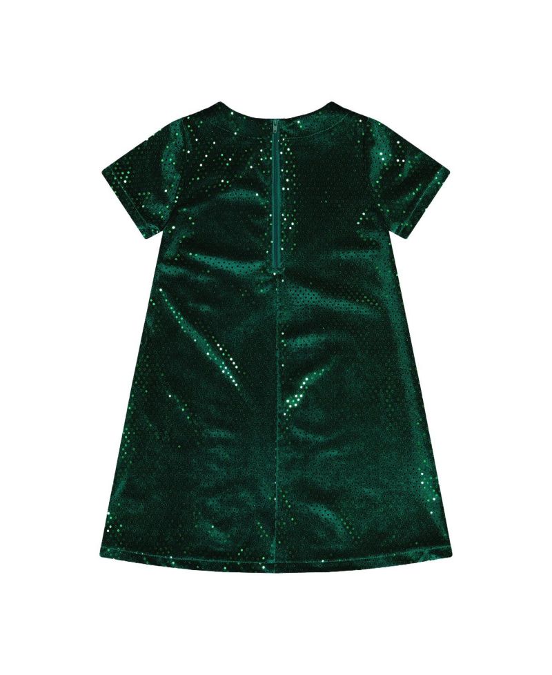 Little and Big Girl 6-14Y Short Sleeve A Line Dress