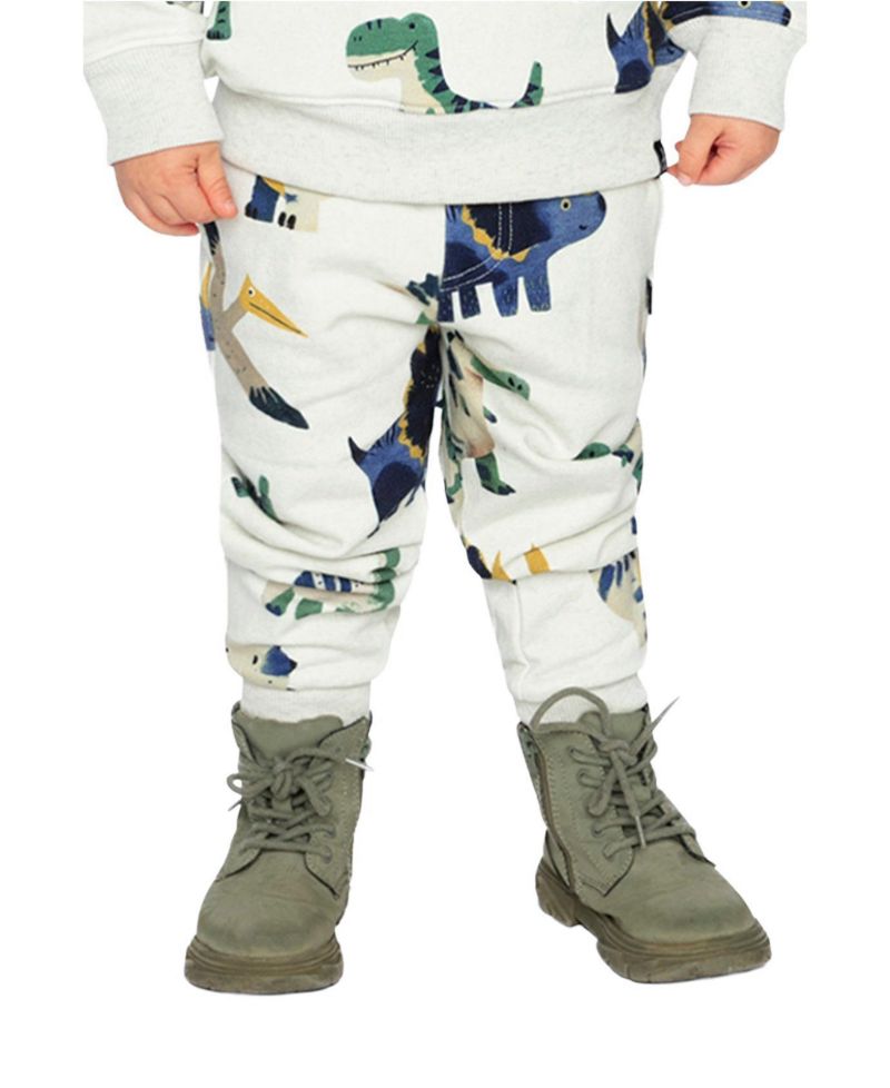 Baby Boy 12M-24M Fleece Sweatpants Dinosaur Print