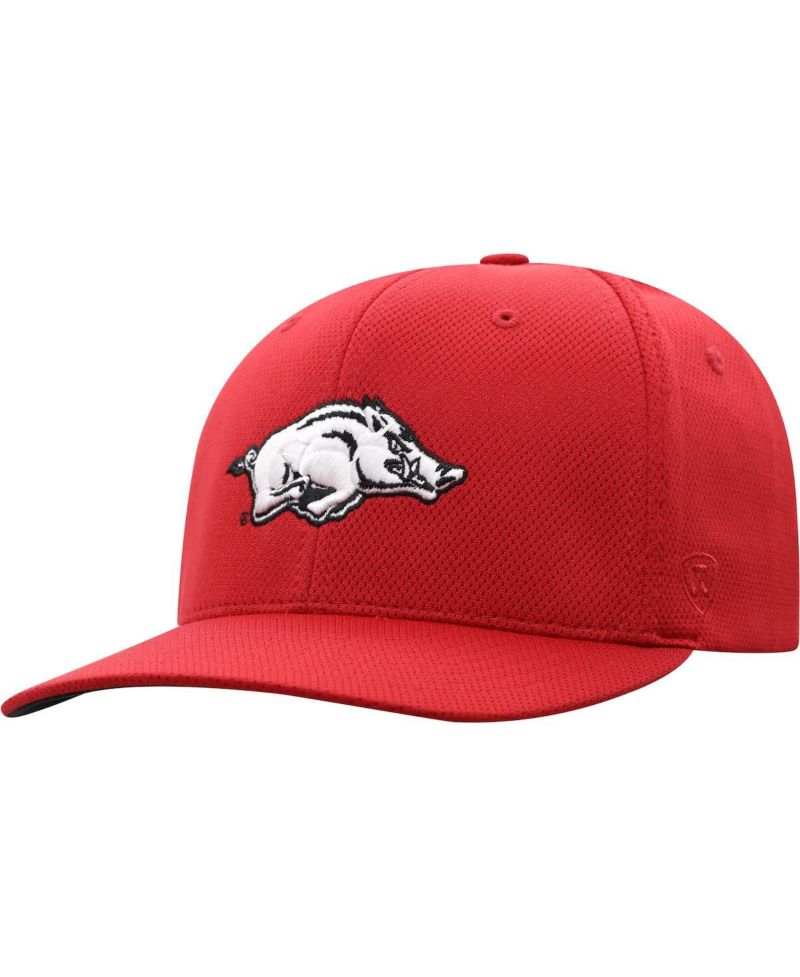 Men's Cardinal Arkansas Razorbacks Reflex Logo Flex Hat