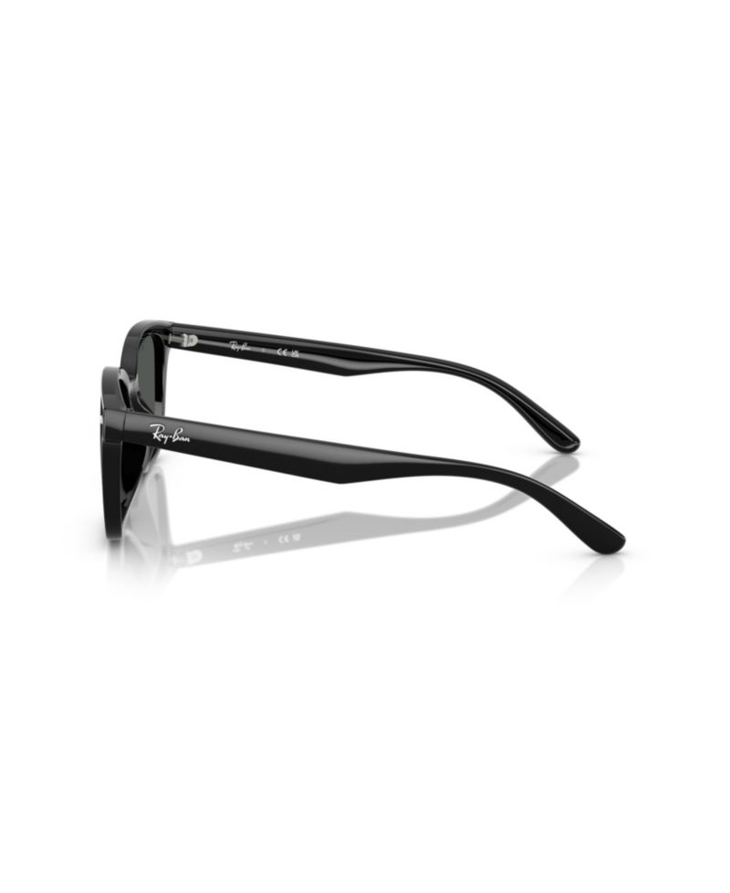 Rectangle Low-Bridge Sunglasses RB4461D