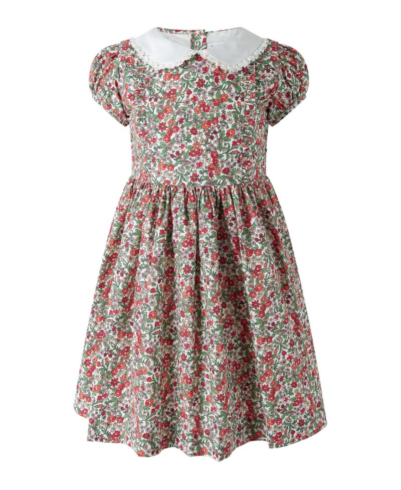 Toddler Girls' 2T-5T Botanical Frill Front Puff Sleeve Dress