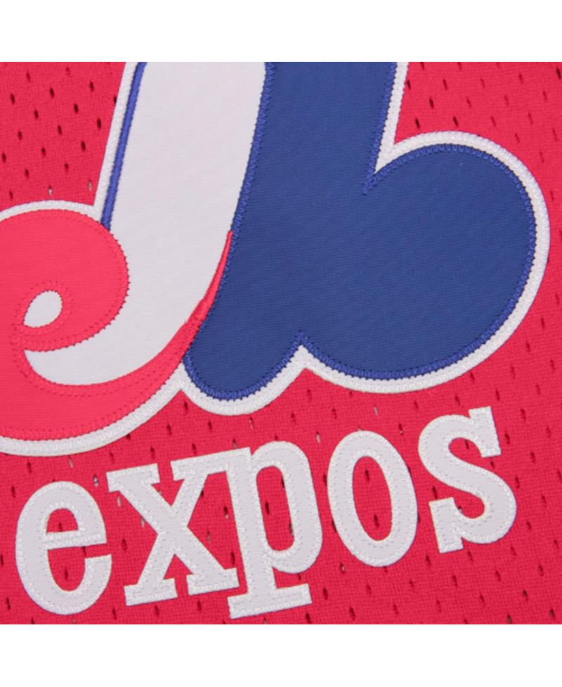 Men's Tim Raines Montreal Expos Batting Practice Jersey - Red