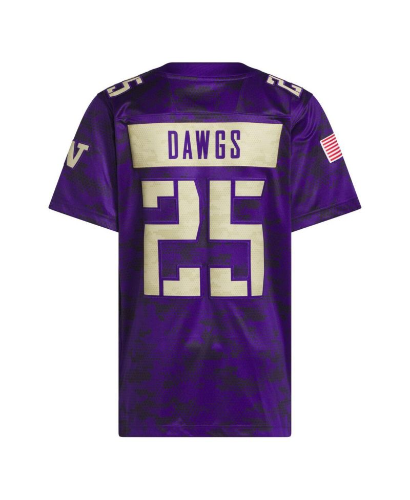 Men's Purple Washington Huskies Honor Support Premier Strategy Jersey