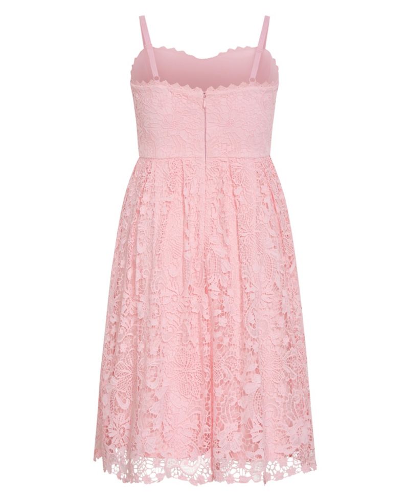 Women's Scarlet Lace Midi Dress