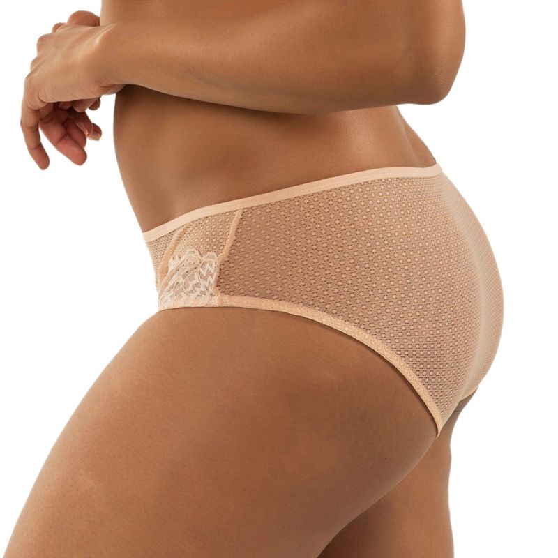 Women's Luxlacy Pretty Lace And Mesh Hipster Panty With Extended Cameo Rose